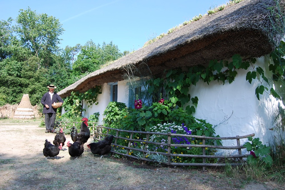 La Bourrine du Bois Juquaud, Saint-Hilaire-de-Riez