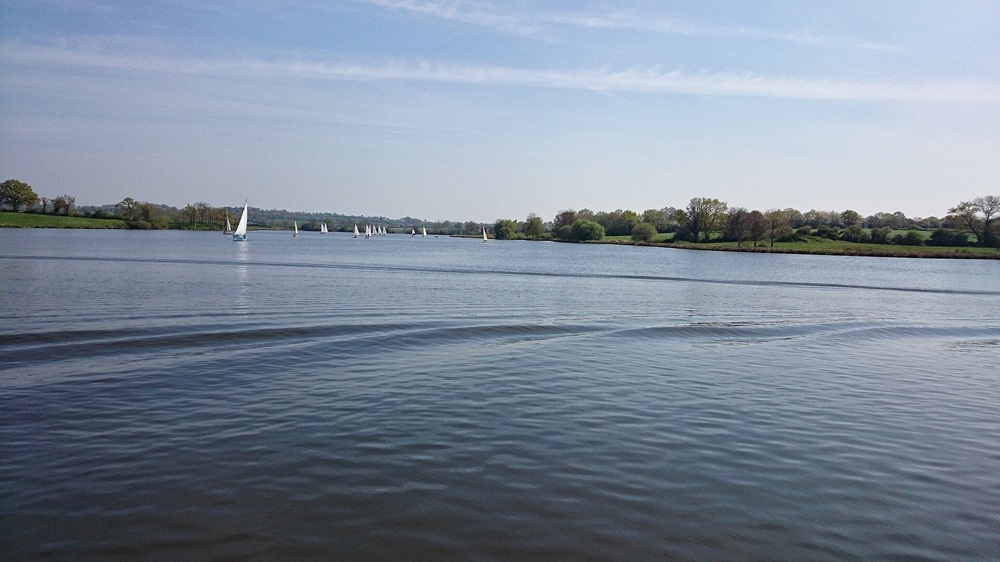 Lac de Ribou près de Cholet