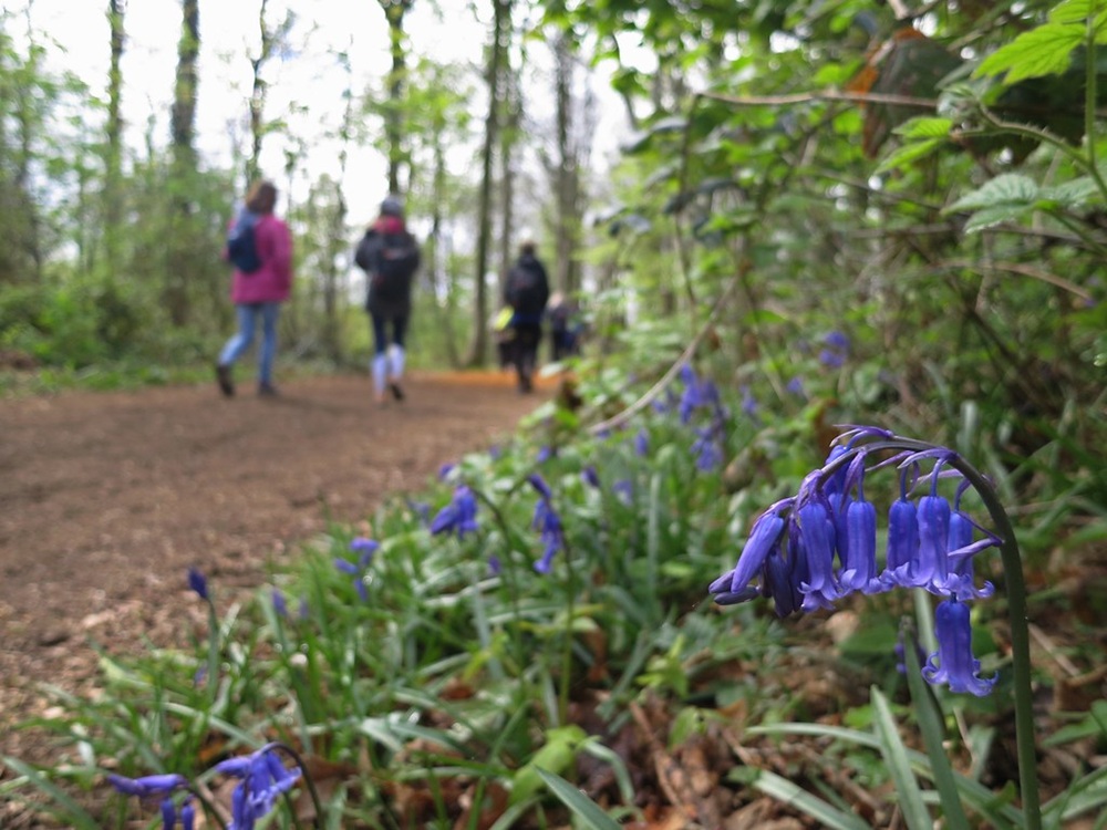 Le parc Marguerite Yourcenar, Mont-Noir