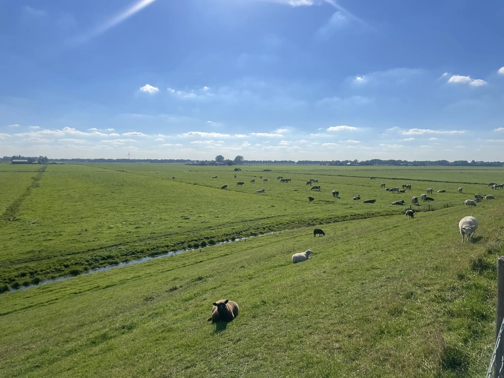 Les bords de l’Amstel jusqu’à Ouderkerk