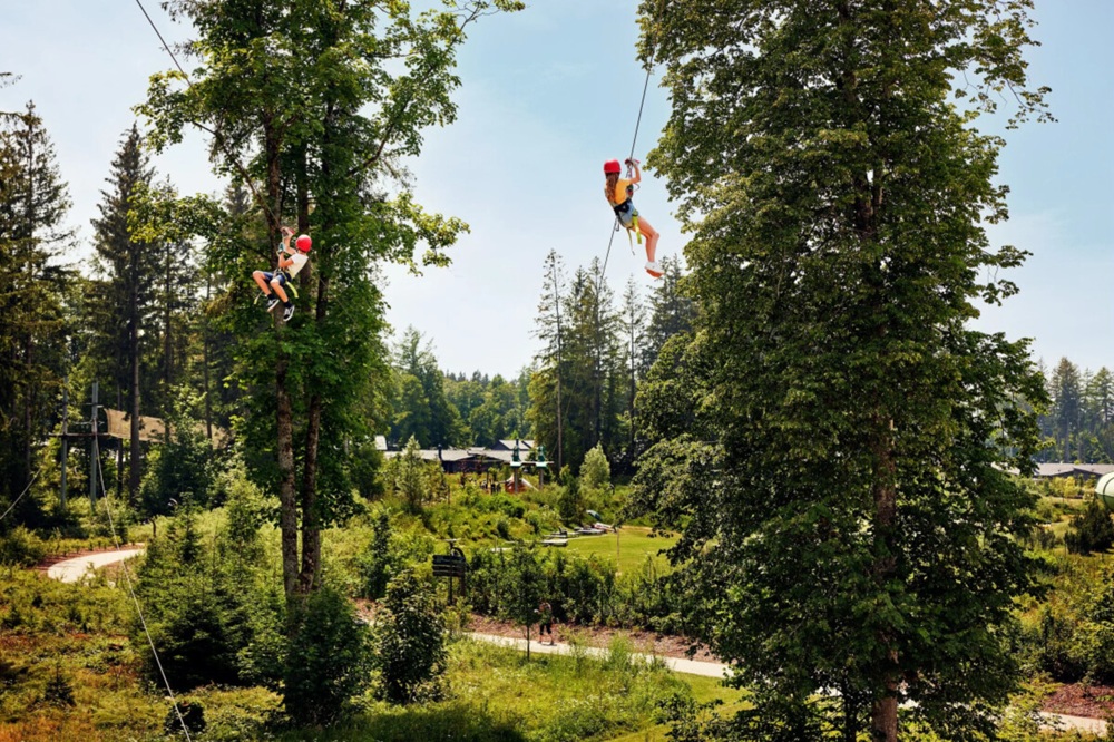 Parcours dans les arbres en famille
