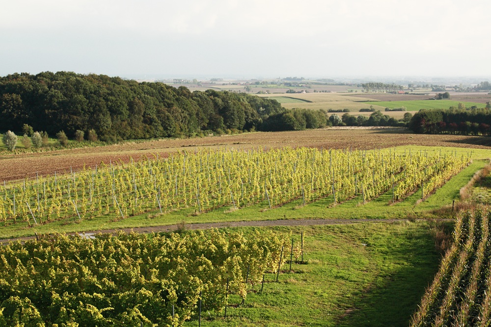 Sentier de randonnée près de Mont-Noir