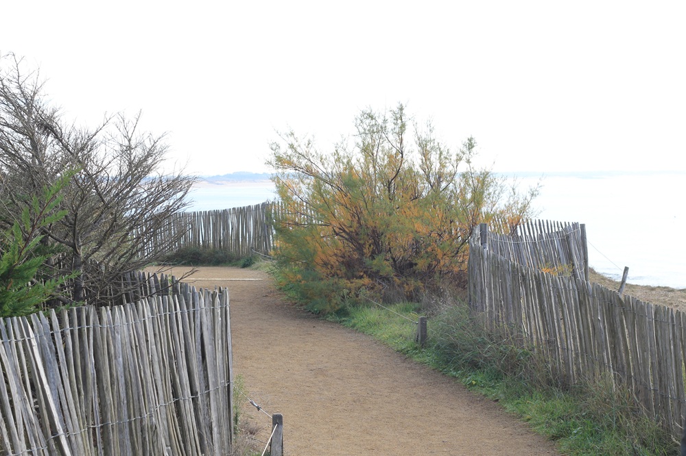 Sentier du littoral à Saint-Hilaire-de-Riez