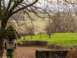 Visiter le Mont-Noir, 7 incontournables à faire et voir