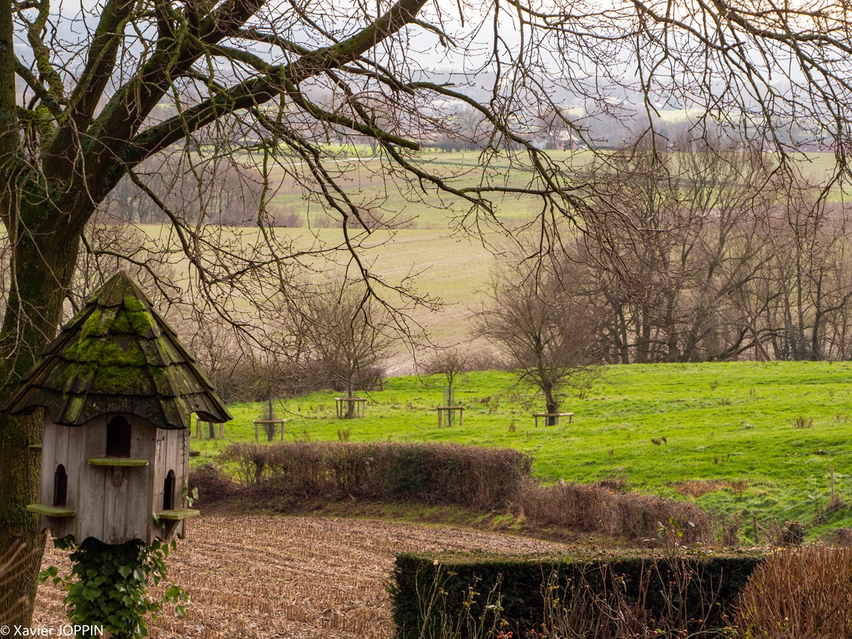 Visiter le Mont-Noir, 7 incontournables à faire et voir