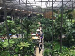 10 visites originales et expériences immersives à faire à Lisbonne