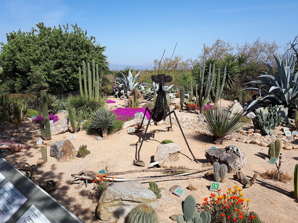 Arboretum, Canet-en-Roussillon