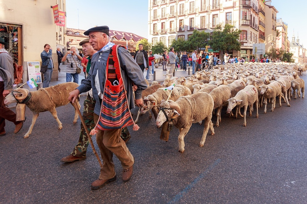 Fête de la Transhumance à Madrid