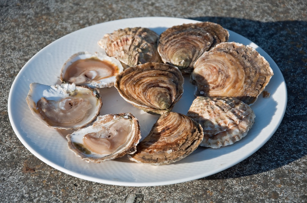 Huîtres de Cancale