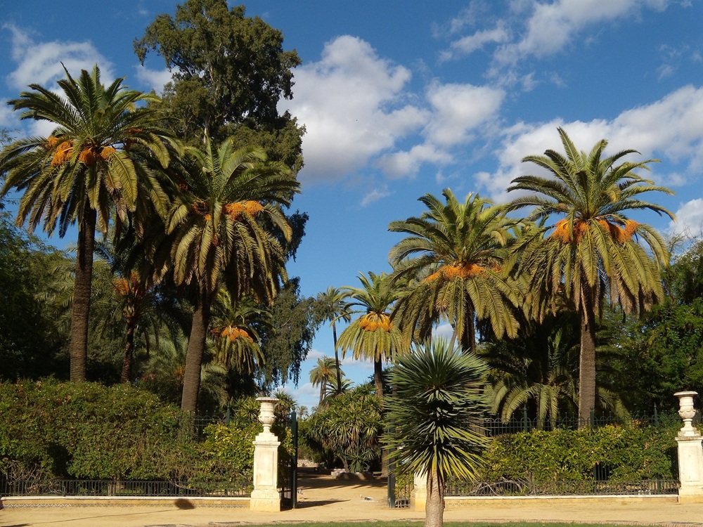 Jardins de Murillo, Séville