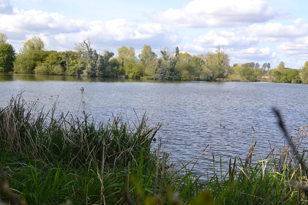 La réserve naturelle des étangs du Romelaëre, Saint-Omer