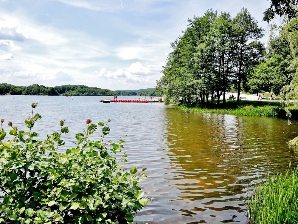 Lac du Malsaucy, Belfort