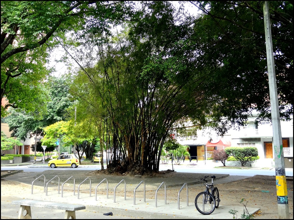 Laureles, Primer Parque à Medellín