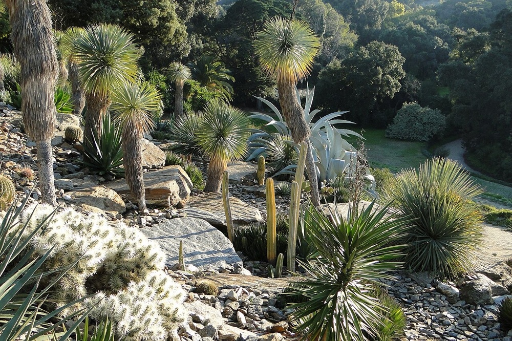 Le Domaine du Rayol près de Bormes-les-Mimosas