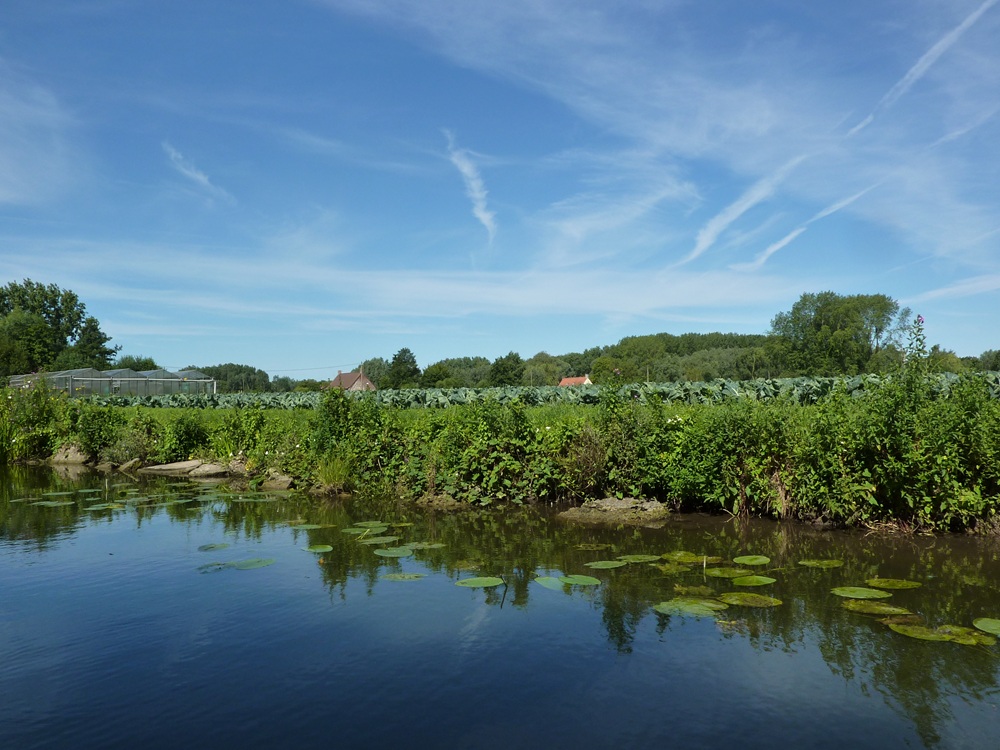 Le marais audomarois, Saint-Omer