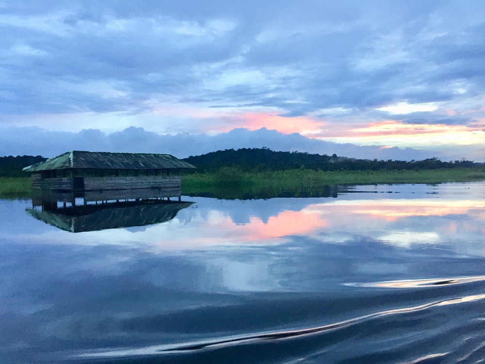 Les Marais de Kaw, Guyane