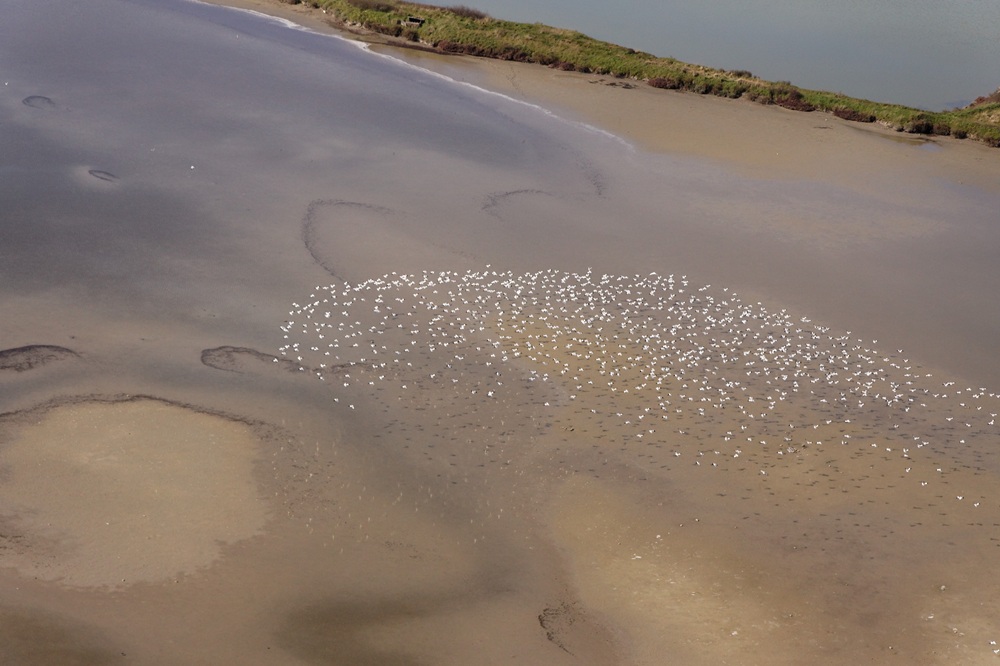 Les marais salants à Guérande