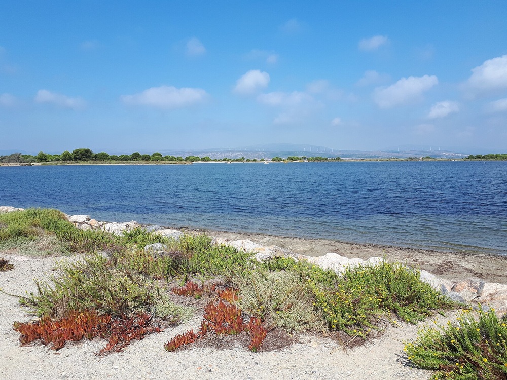 L’étang de Leucate