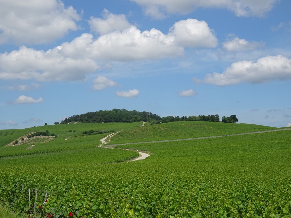 Mont Bernon, Épernay