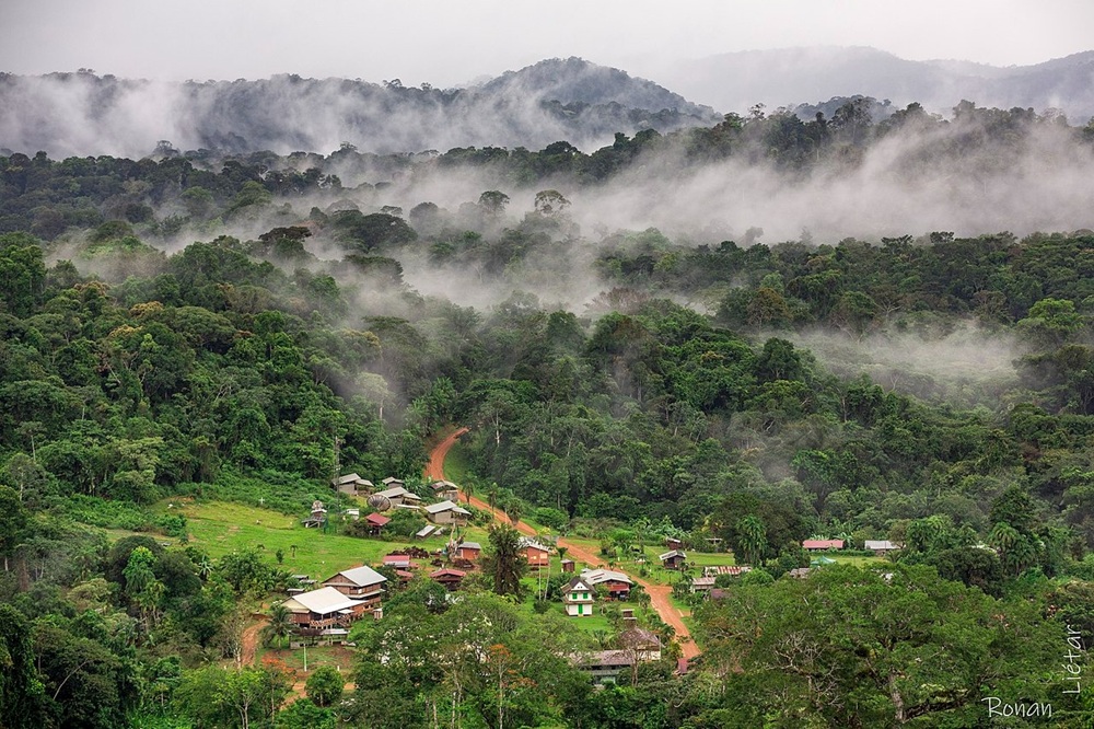 Saül, Guyane