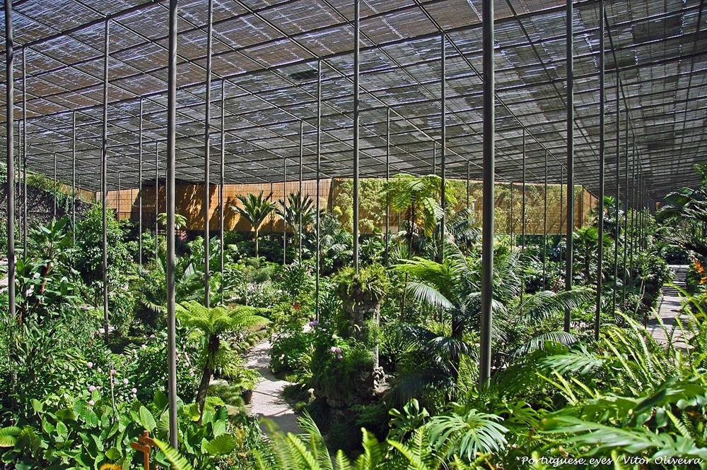 Serres de l’Estufa Fria, Lisbonne