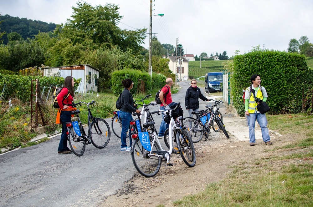 Vélos dans les vignes, Épernay