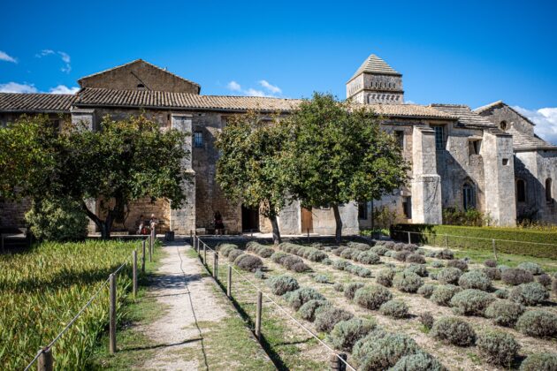 Visiter Saint-Rémy-de-Provence