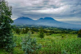 Visiter le Rwanda, 10 incontournables à faire et voir