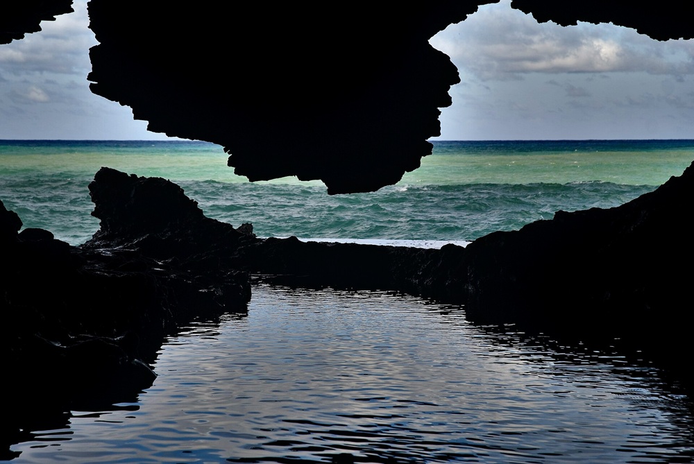 Animal Flower Cave, La Barbade
