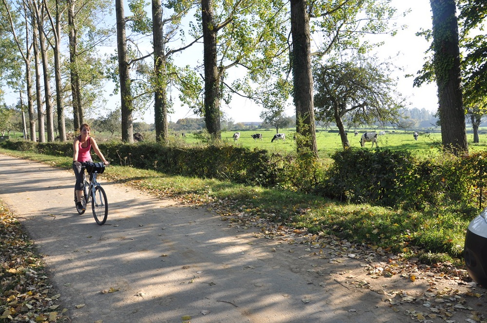 Balade à vélo dans l’Avesnois