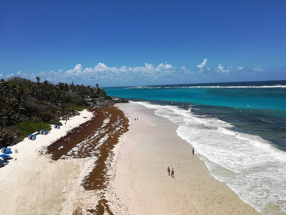 Crane Beach, La Barbade