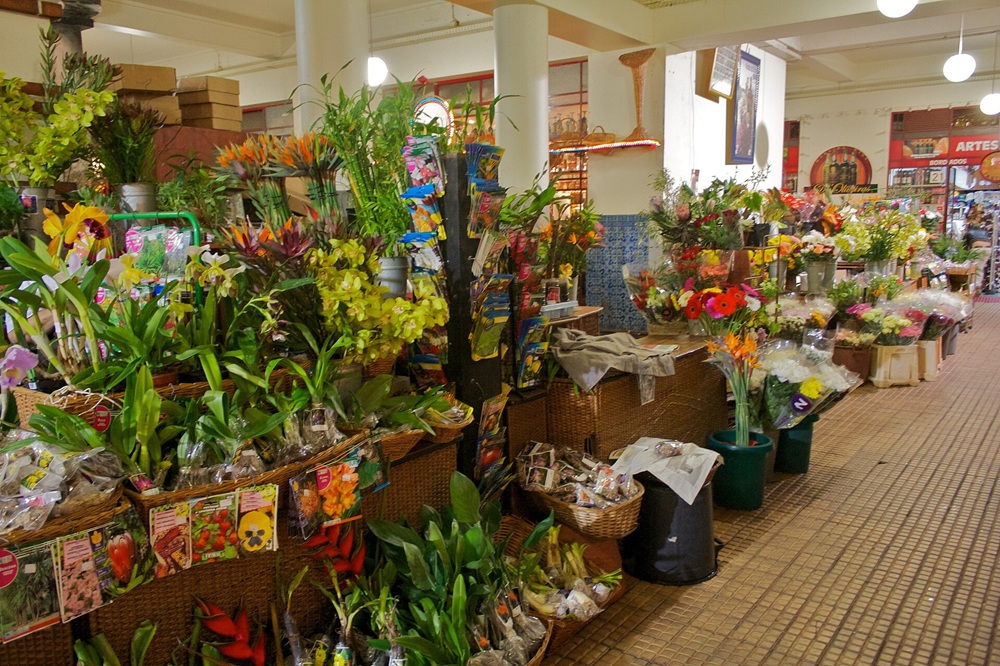 Fleurs au marché dos Lavradores, Madère