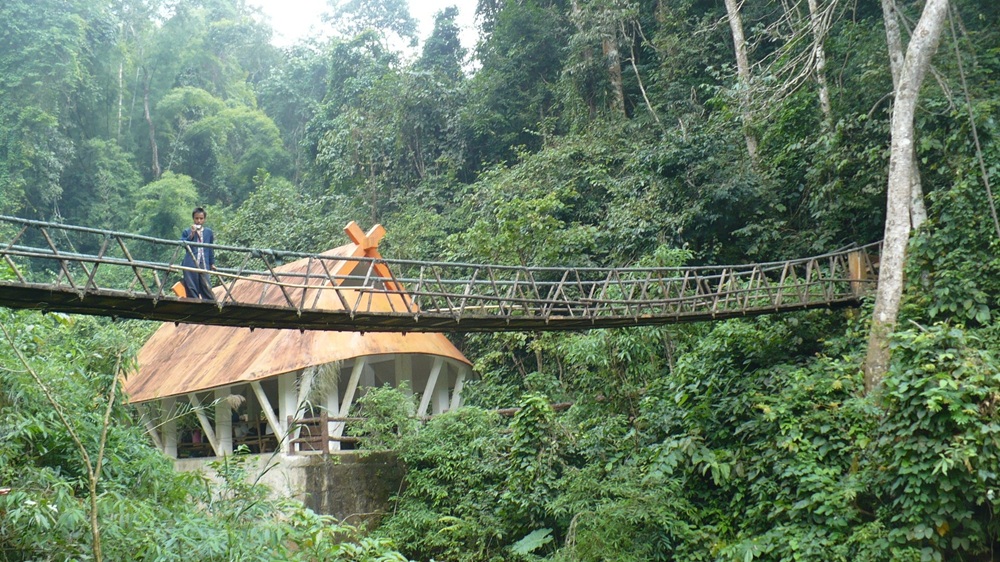 Forêt à Xishuangbanna