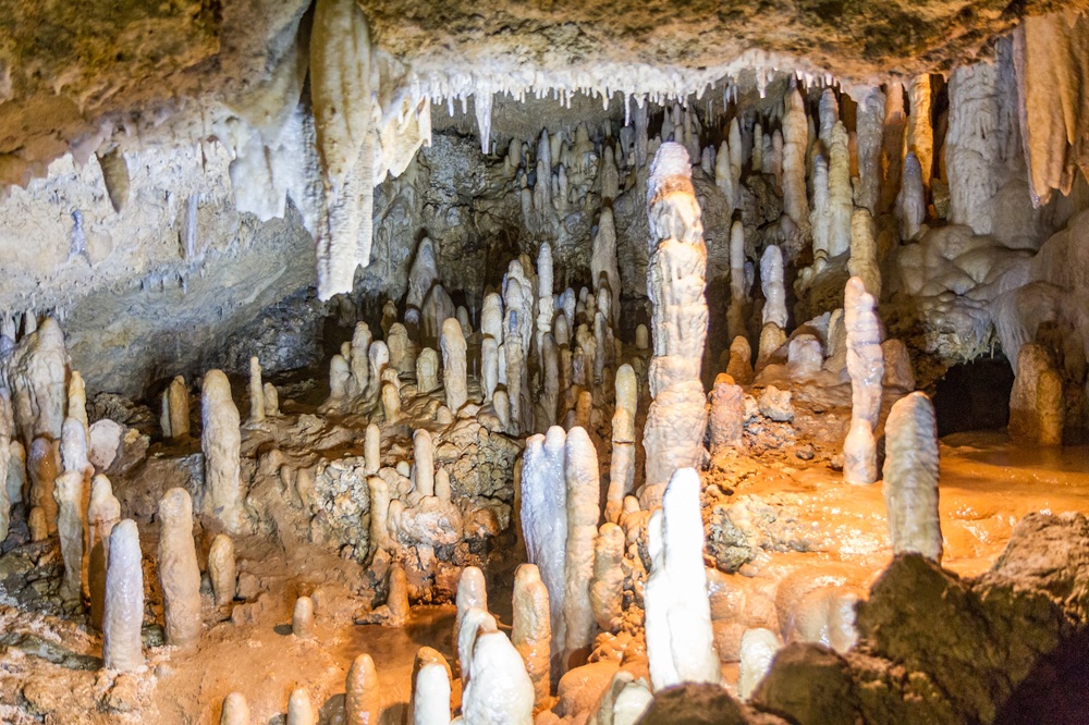 Harrison’s Cave, La Barbade