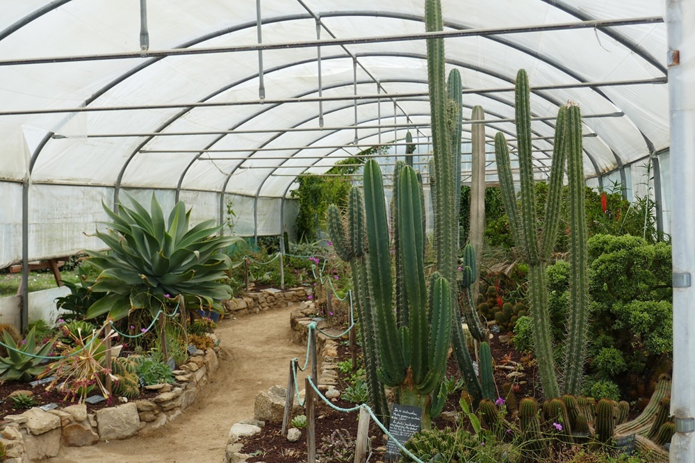 Jardin exotique de Roscoff