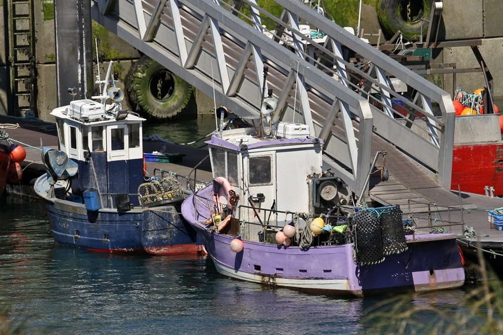 La criée du Bloscon, Roscoff
