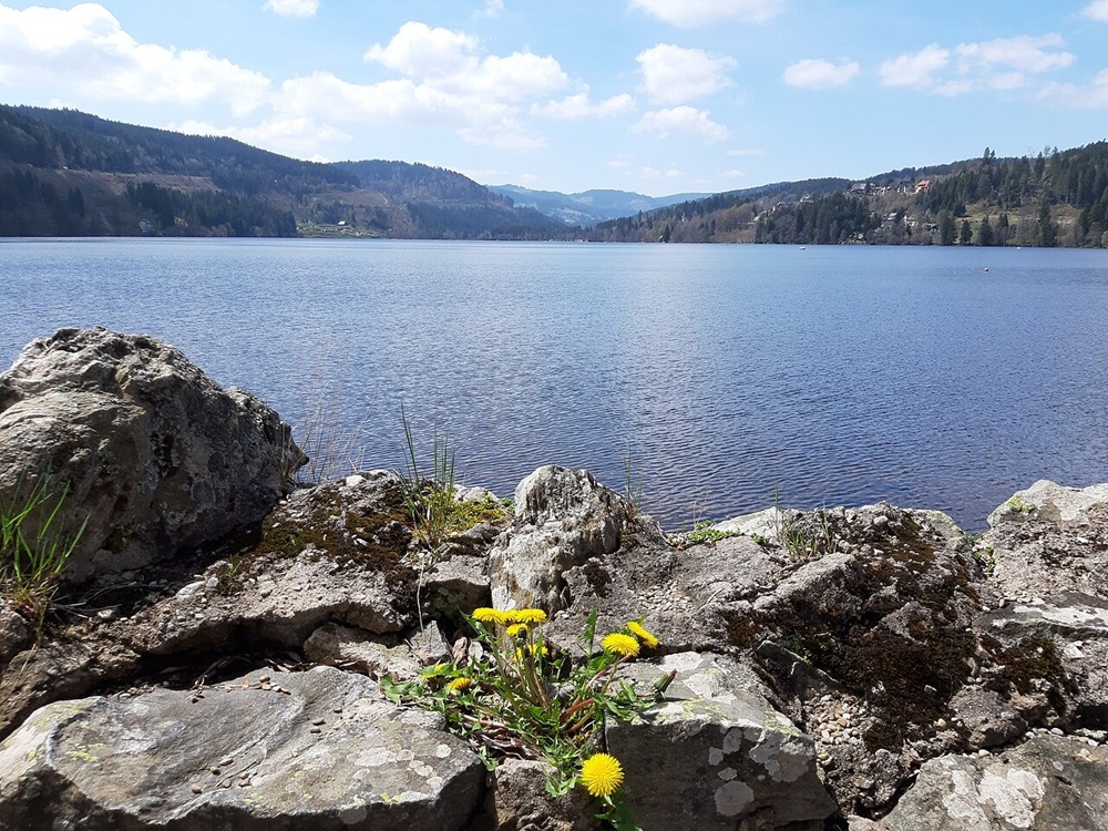 Lac Titisee, Forêt-Noire