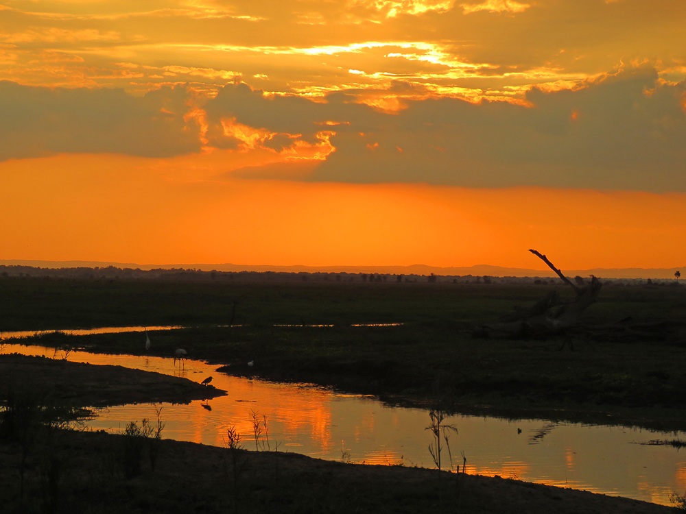 Le Parc national de Gorongosa, Mozambique