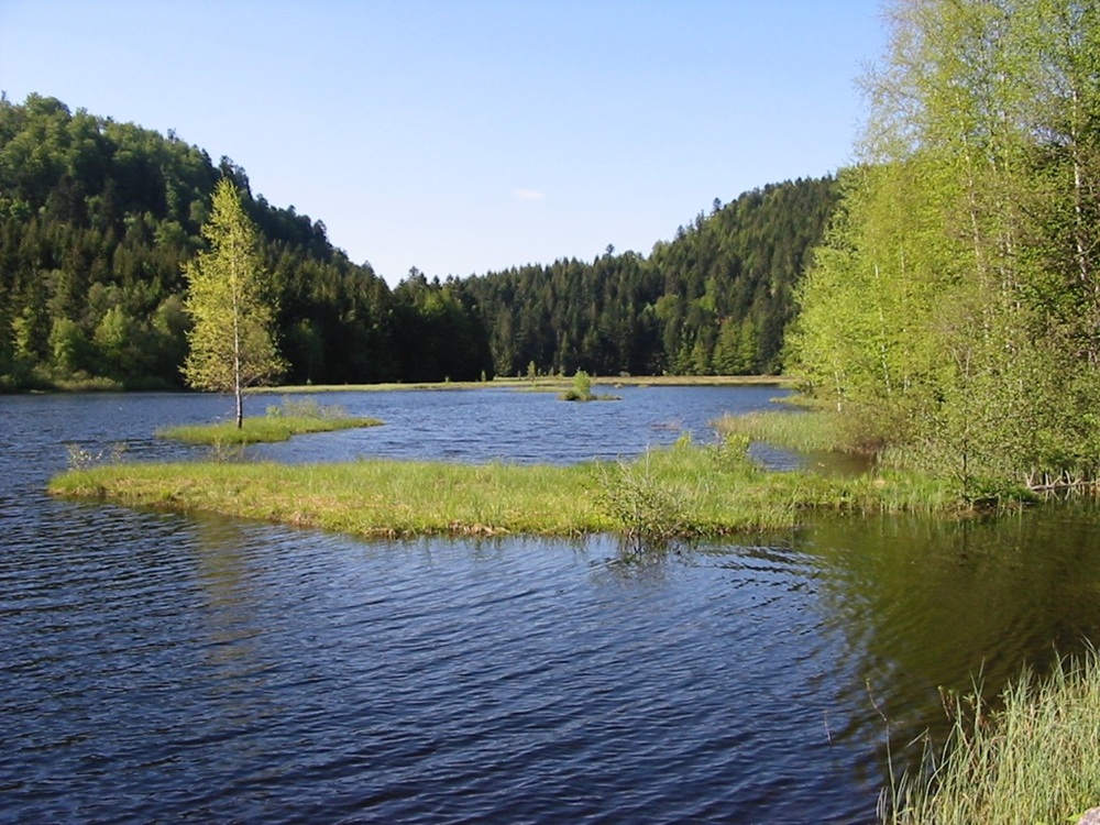 Le lac de Lispach, La Bresse