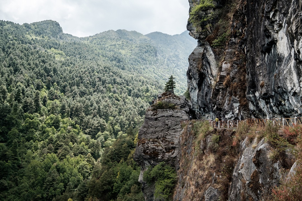 Le sentier des Nuages de Jade, Yunnan