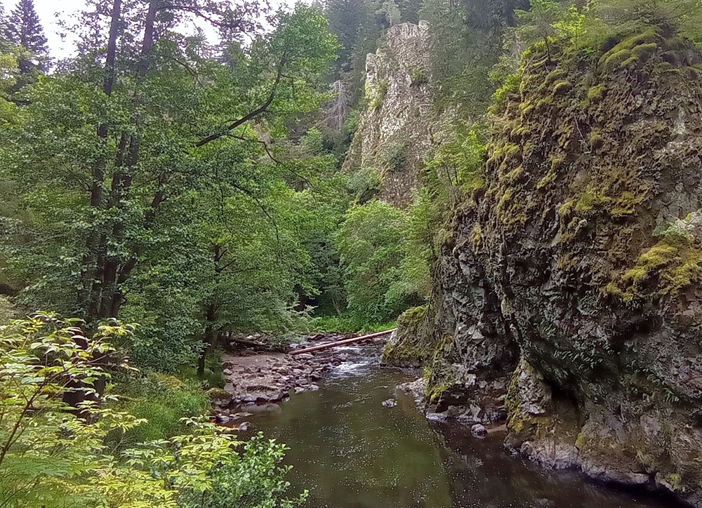 Les gorges de la Wutach, Forêt-Noire