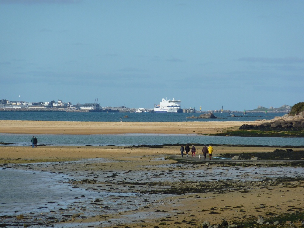 L’île Callot à marée basse