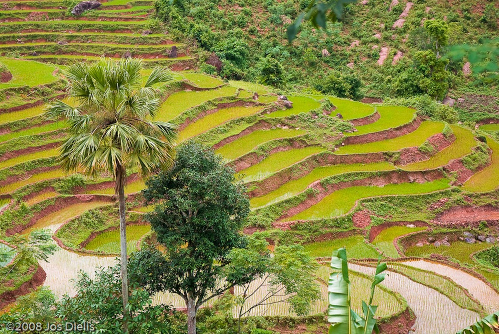 Mai Chau, dans le nord du Vietnam