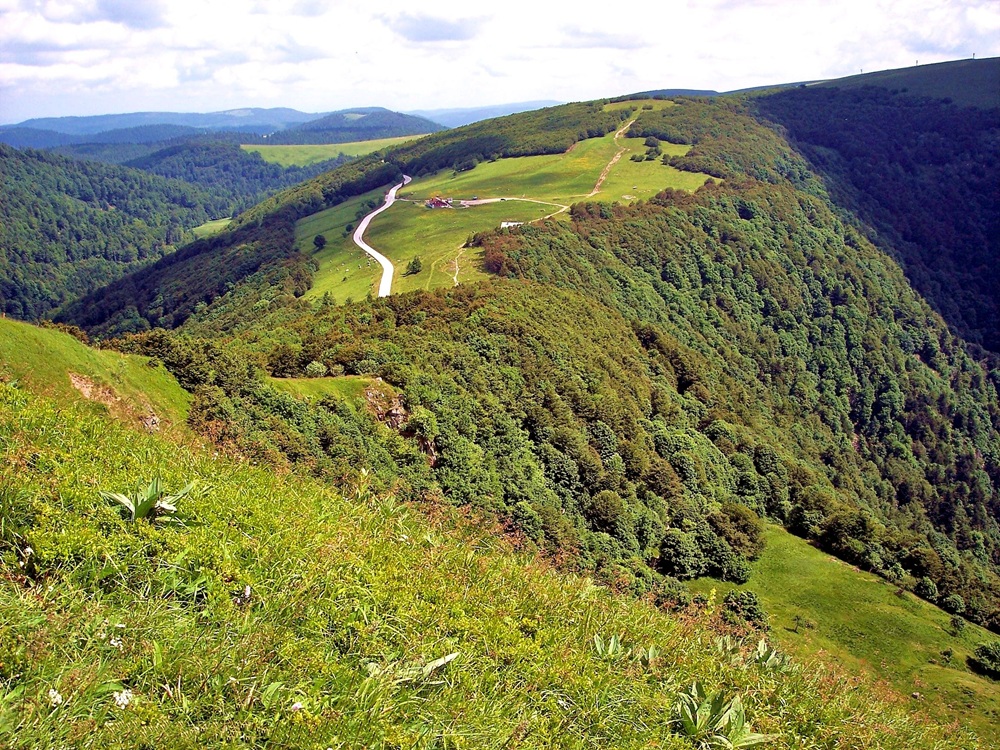 Route des crêtes près de La Bresse