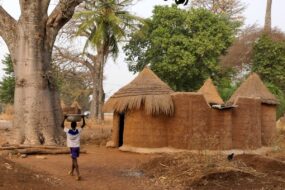 Visiter le Bénin