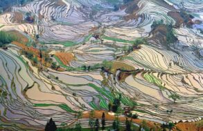 Visiter le Yunnan