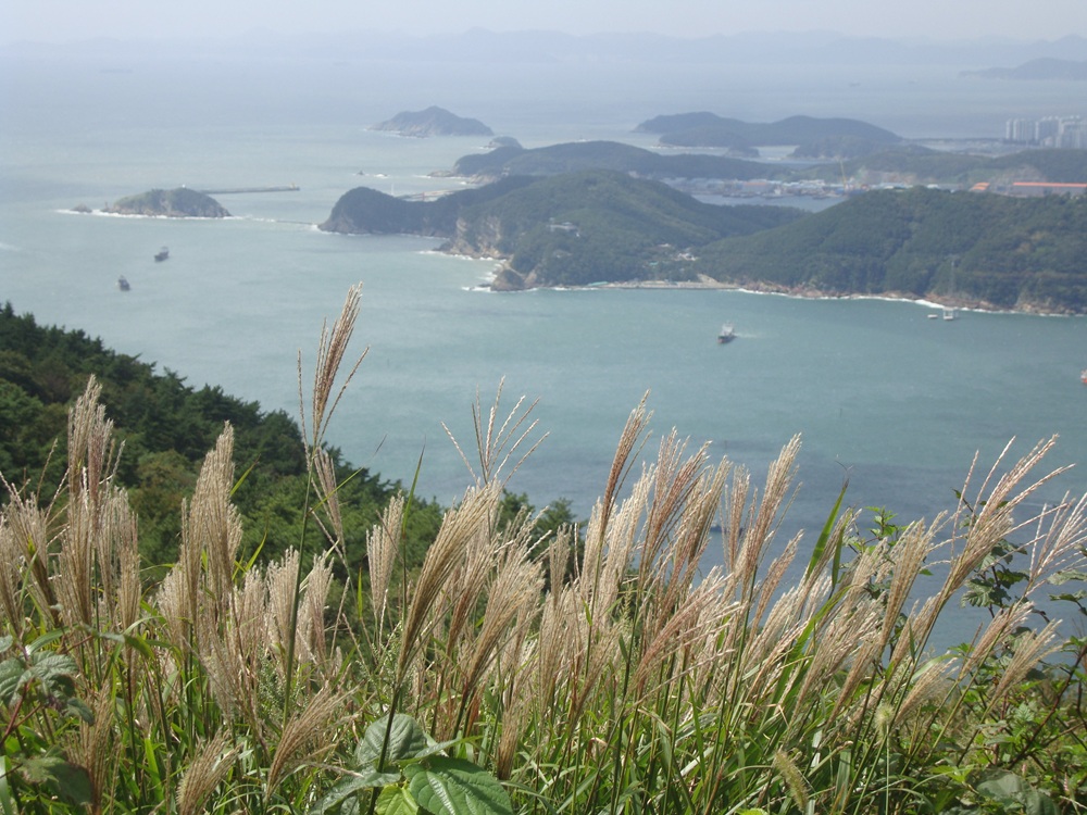 Yeongdo, Busan