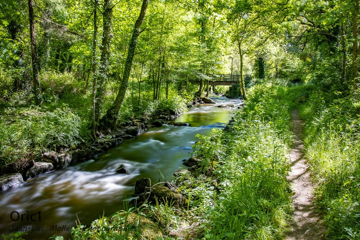 10 randonnées à l'intérieur des Côtes d'Armor