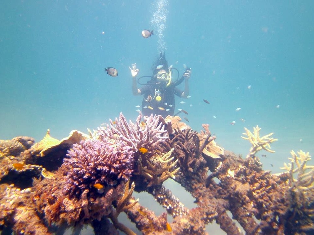 Activité de snorkeling à Pemuteran, Bali
