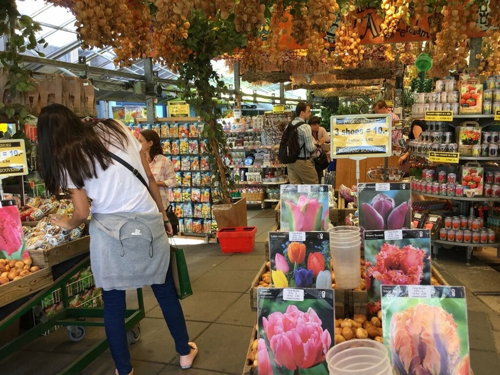 Bulbes de tulipes, Amsterdam